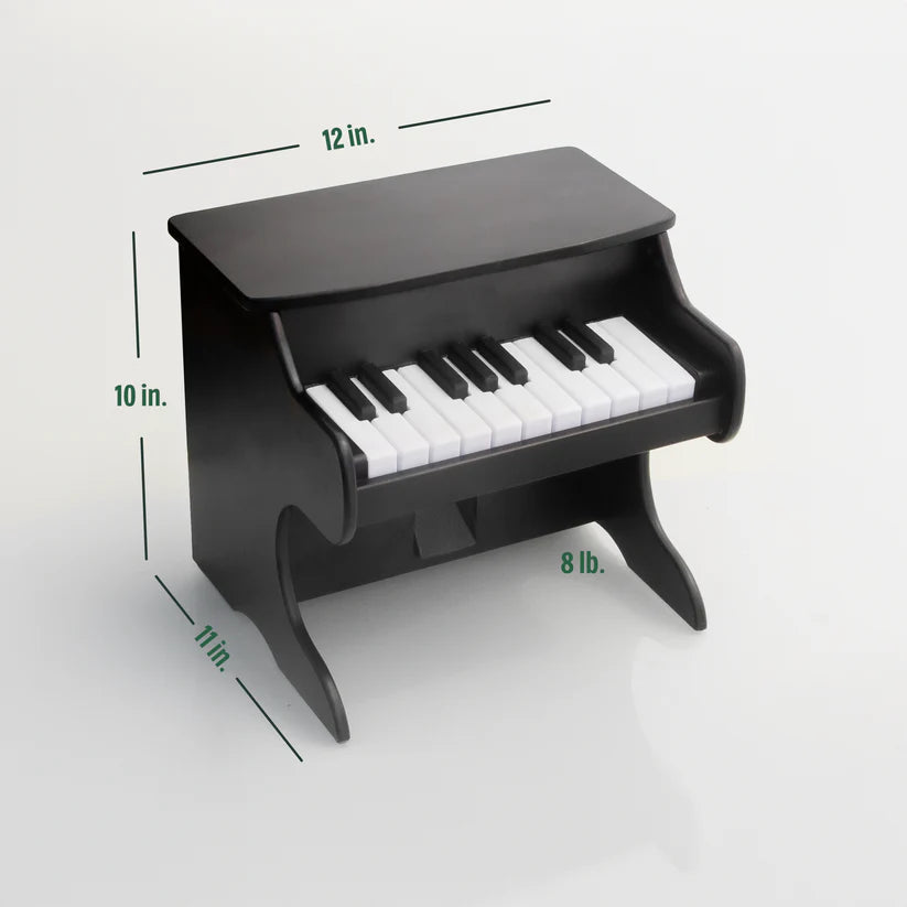 Pet Piano Feeder🐾🎹